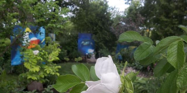 Un dimanche à la campagne